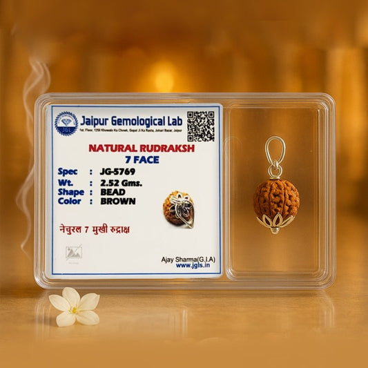 100% Natural 7 face Rudraksha Pendant with Lab Certificate | Energized 7 Mukhi Rudraksha Bead