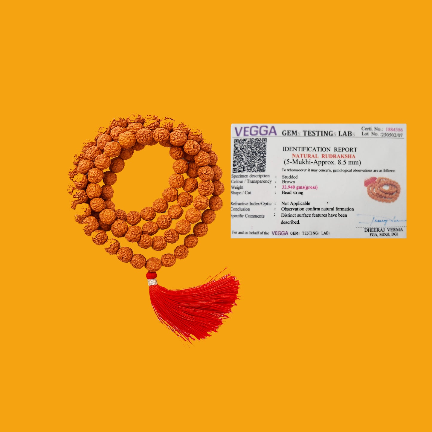 100% Natural 5 Face Rudraksha Mala 8mm – With Lab Testing Certificate | Original Panchmukhi Rudraksh Mala (108+1 Beads)