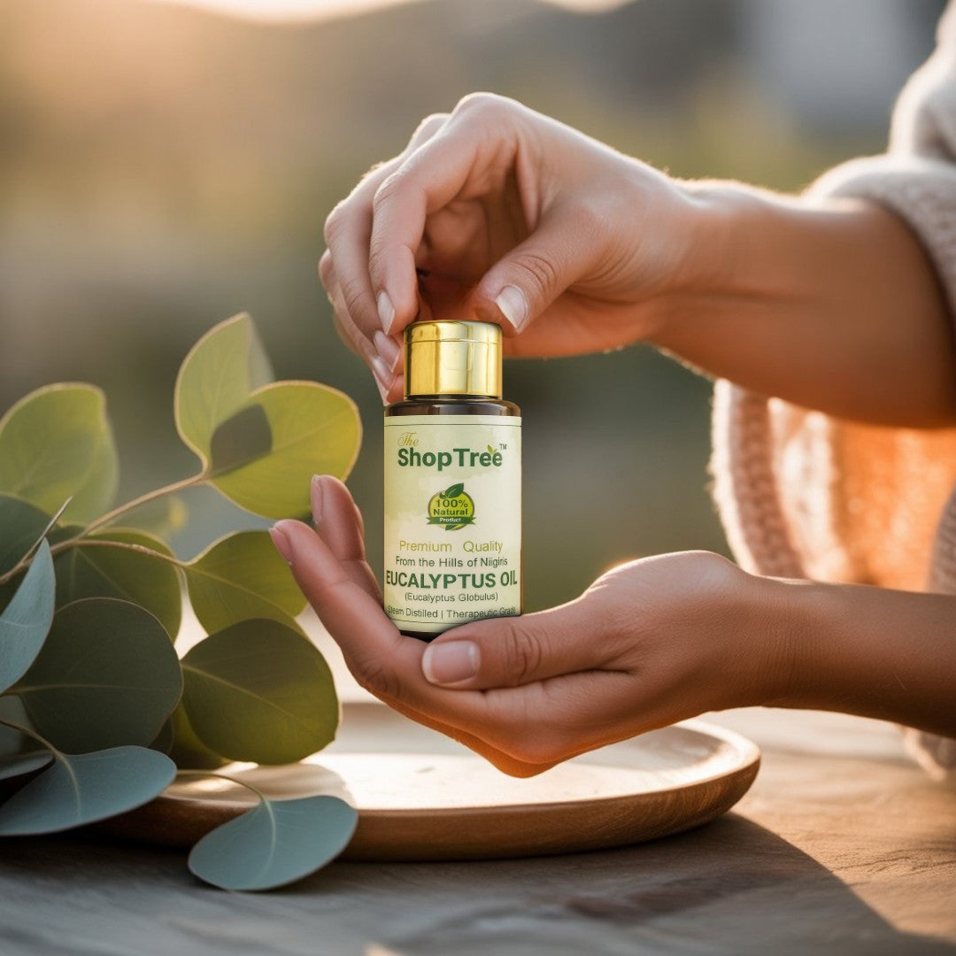Eucalyptus Oil | Pure Steam Distilled Nilgiri Oil | Relief for Cold, Cough, Headache, Pain, Congestion & Aromatherapy