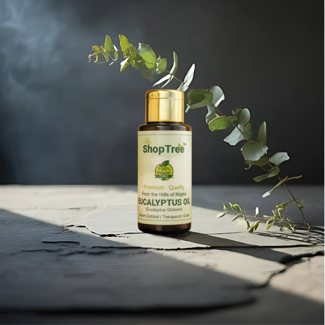 Eucalyptus Oil | Pure Steam Distilled Nilgiri Oil | Relief for Cold, Cough, Headache, Pain, Congestion & Aromatherapy
