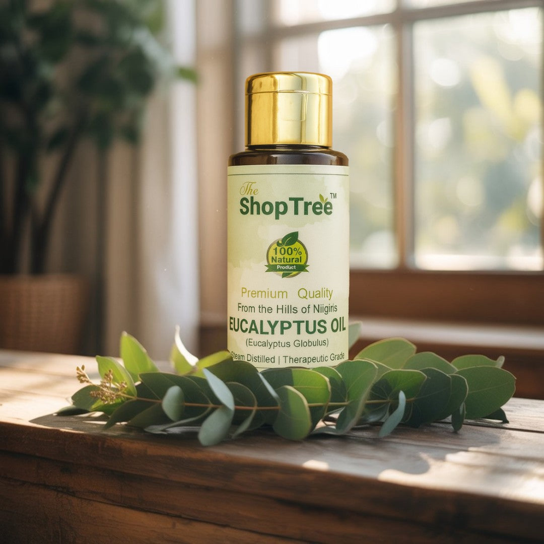 Eucalyptus Oil | Pure Steam Distilled Nilgiri Oil | Relief for Cold, Cough, Headache, Pain, Congestion & Aromatherapy